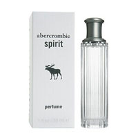 Женские духи Spirit Perfume